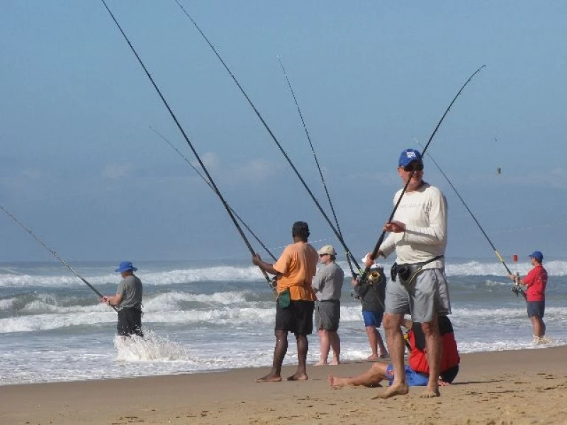 photo - ELEPHANT COAST GUESTHOUSE